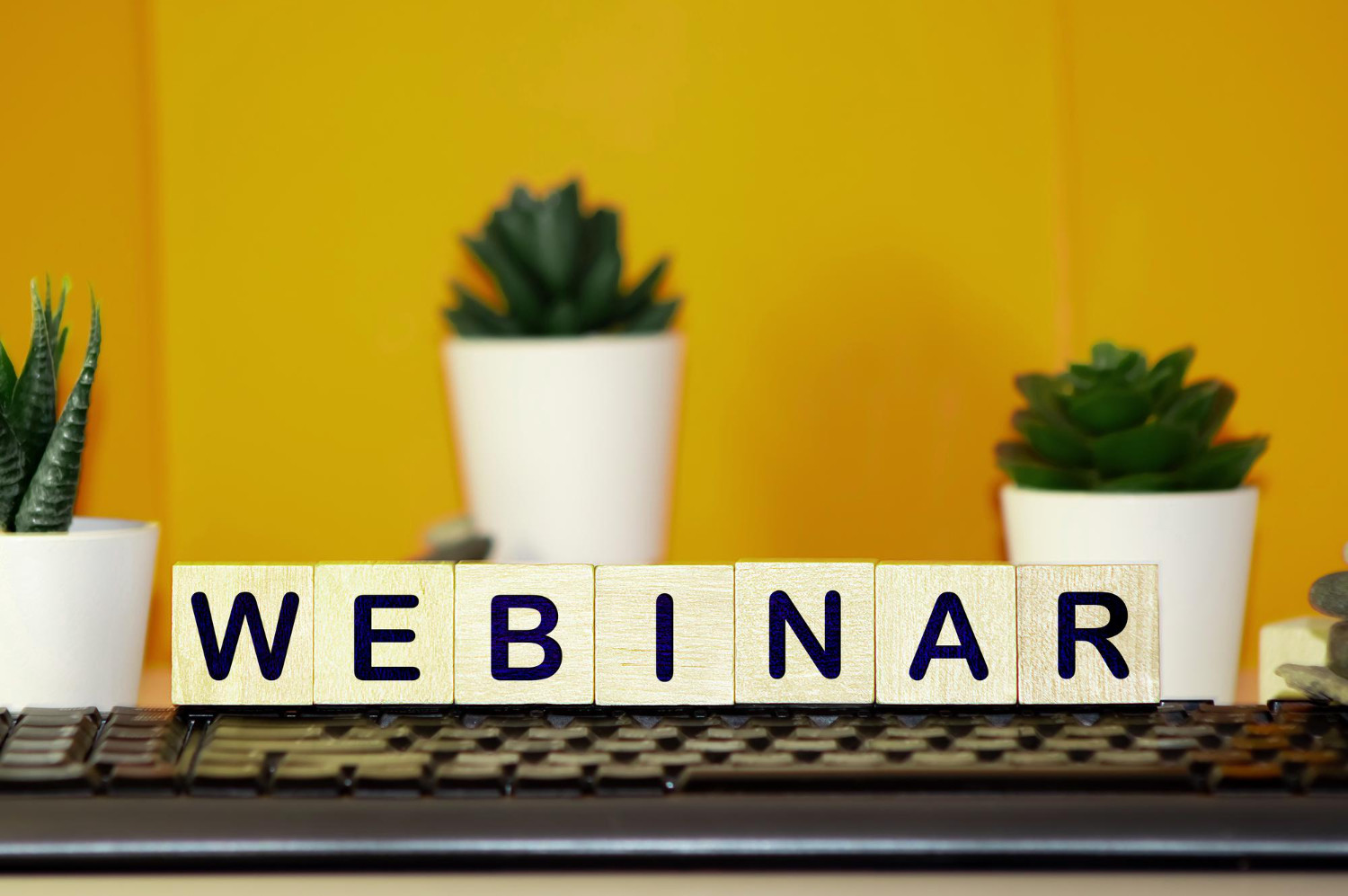 Join Us Online: “HEIs–NGOs Cooperation for the SDGs”