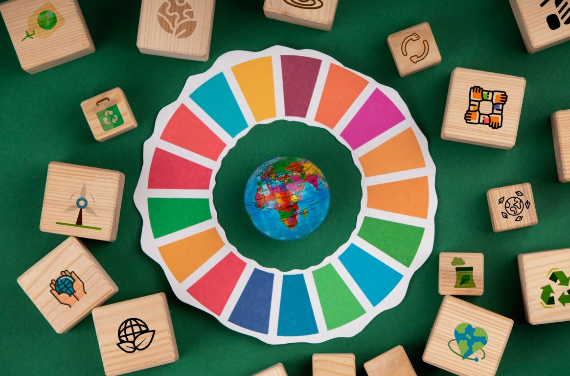 Fresh Updates from #edu4sdgs